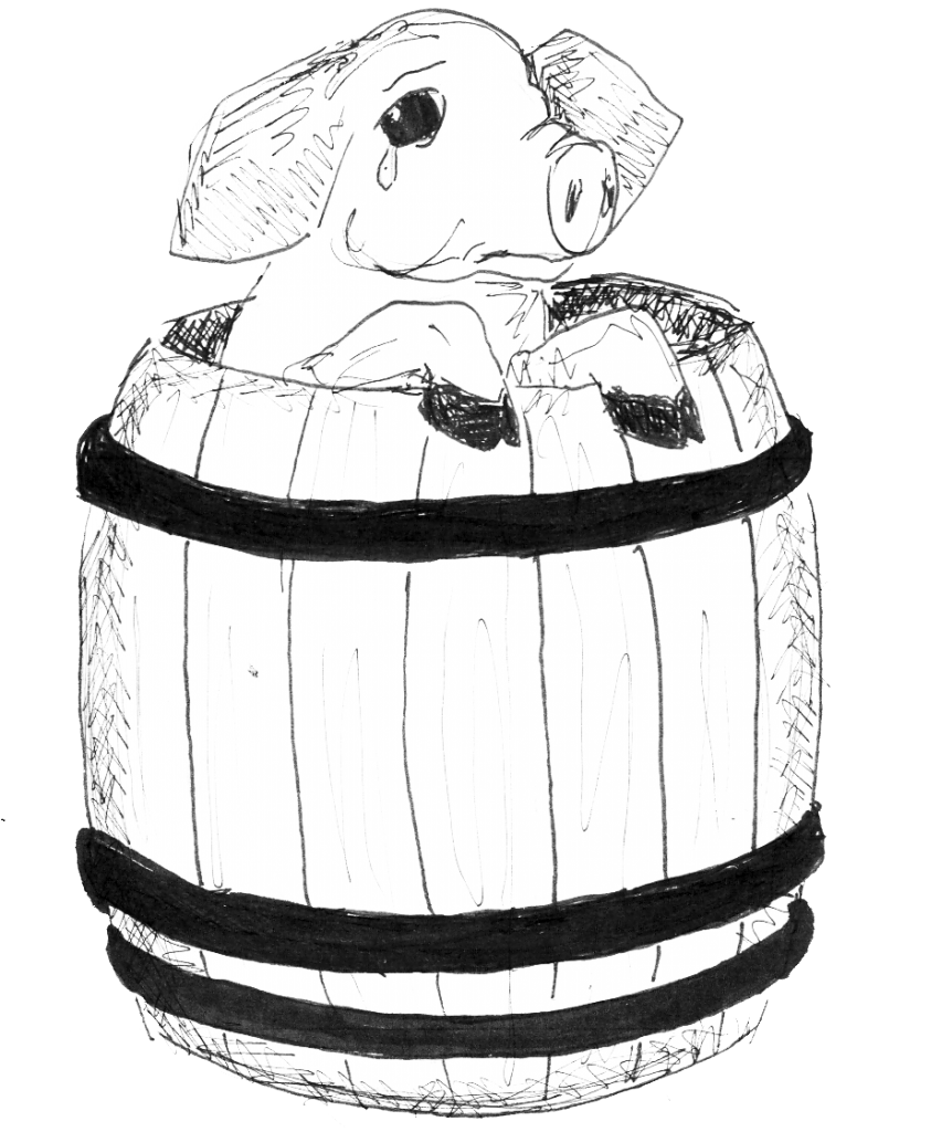 Fresh pork why earmarks shouldn't be bashed Campus Times