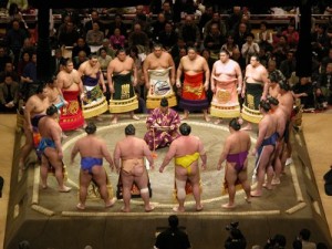 Sumo wrestling