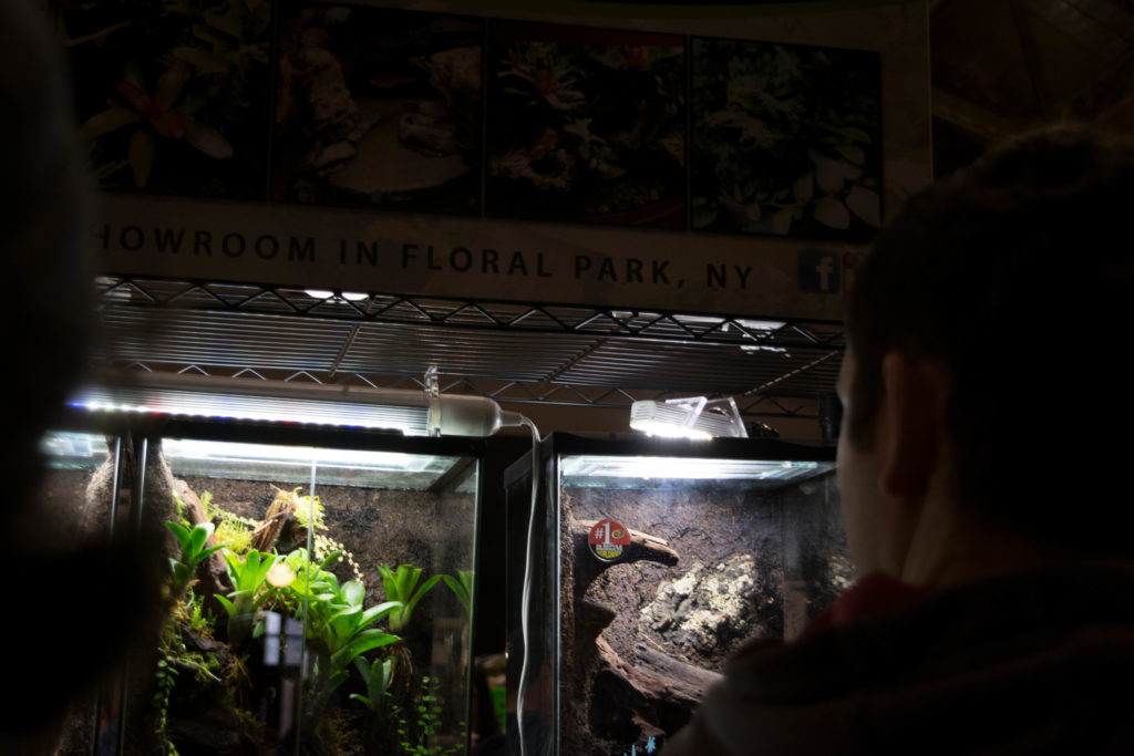 Rexpo thrills passionate community