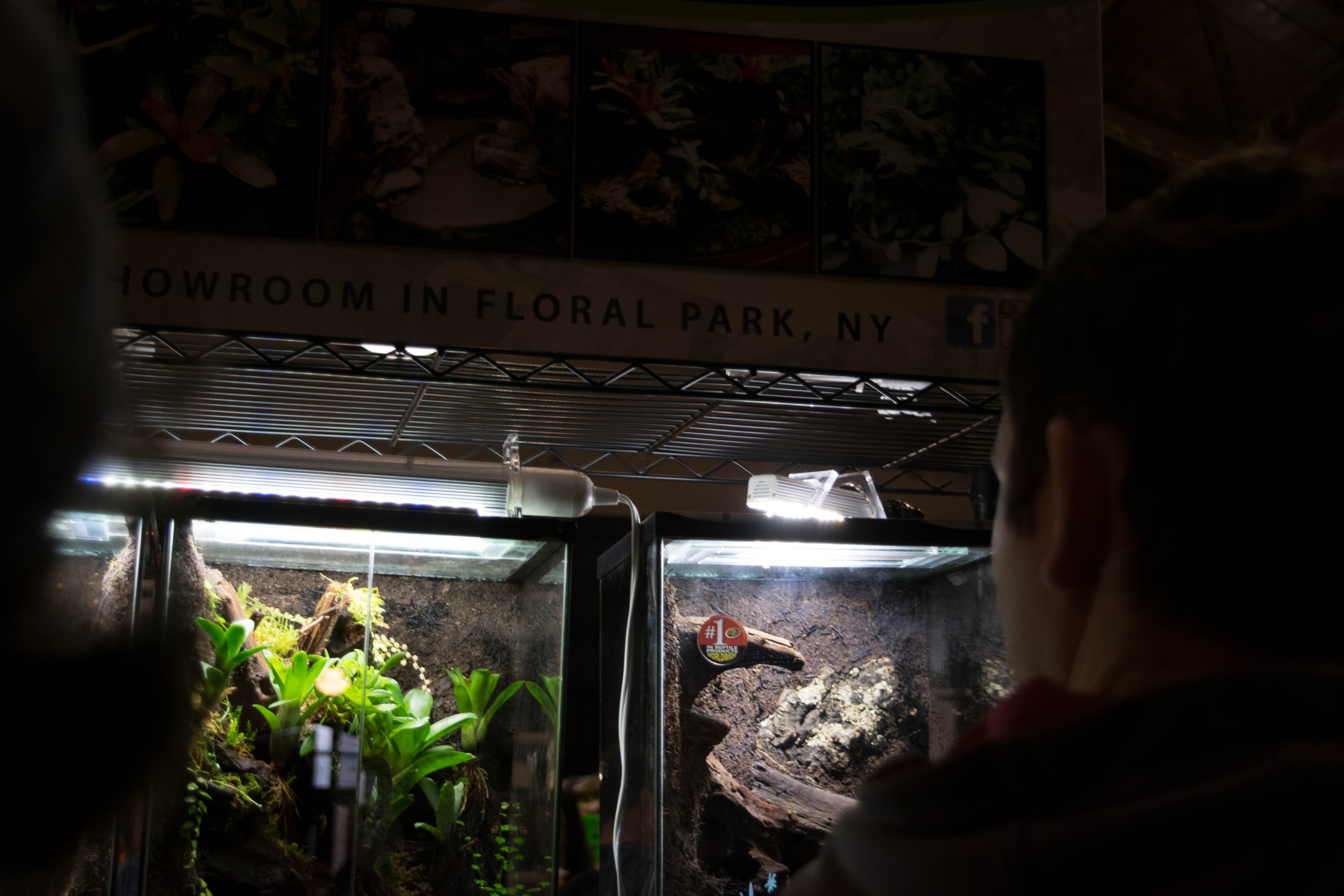 Rexpo thrills passionate community