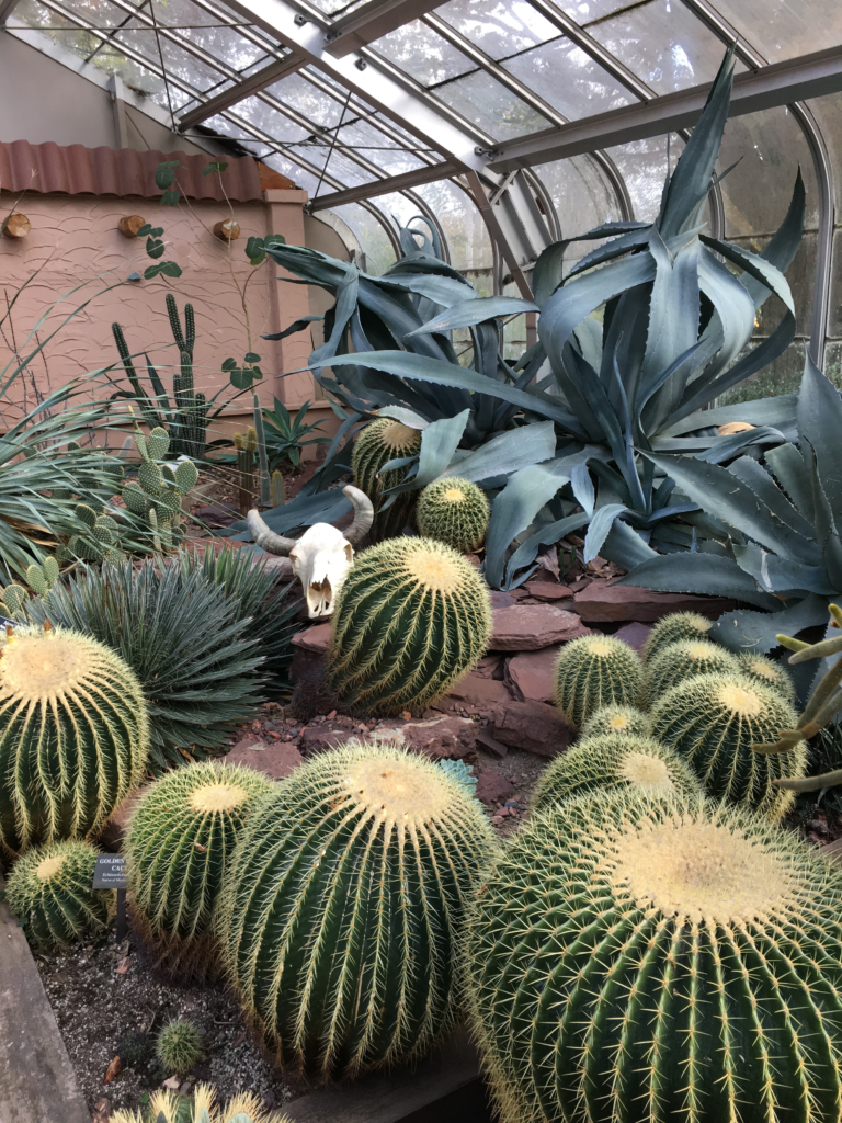 Lamberton Conservatory is a home-grown wonderland