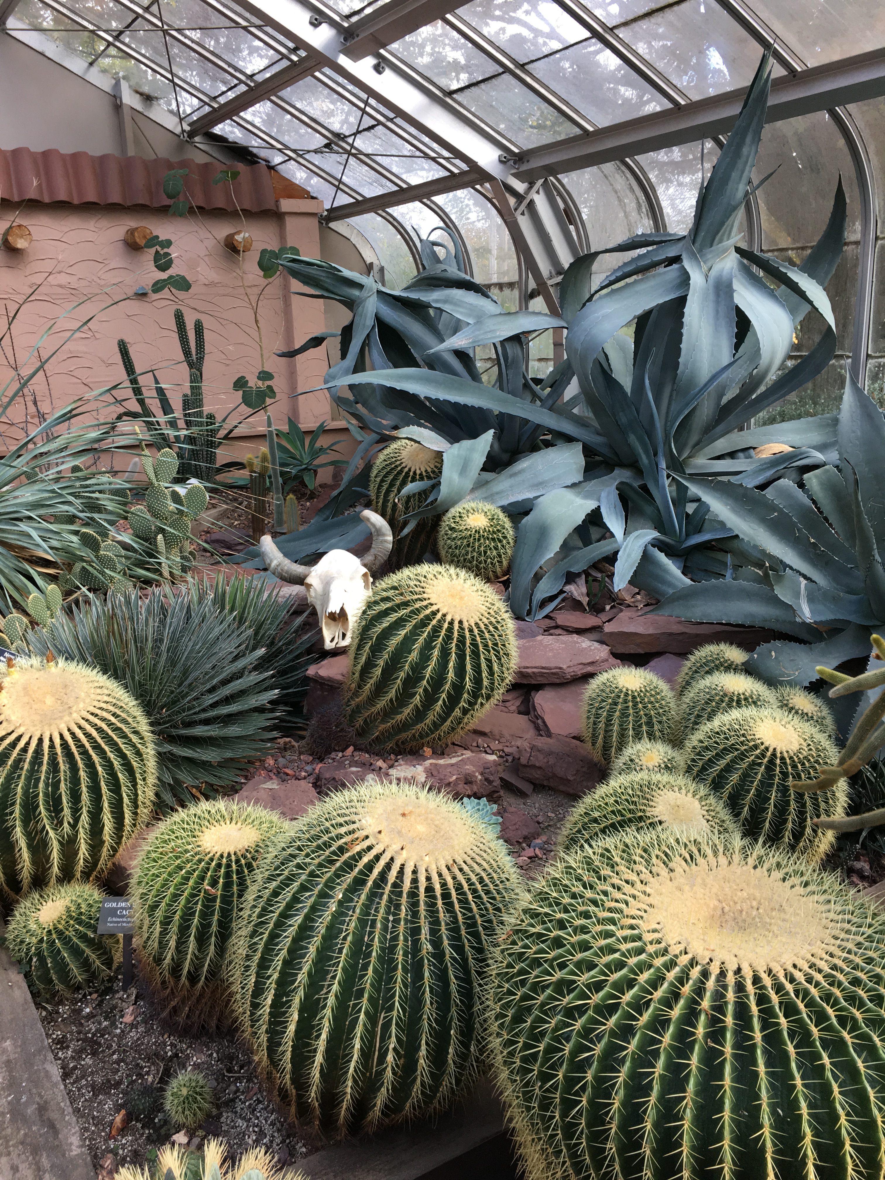 Lamberton Conservatory is a home-grown wonderland