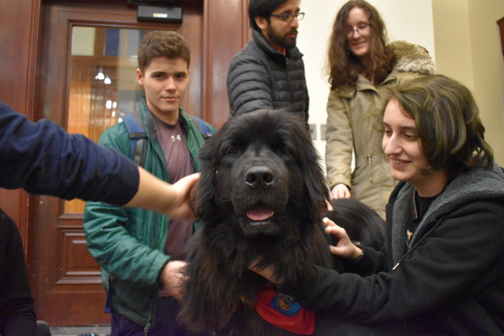 Dogs in Goergen bring paw-sitive vibes to campus