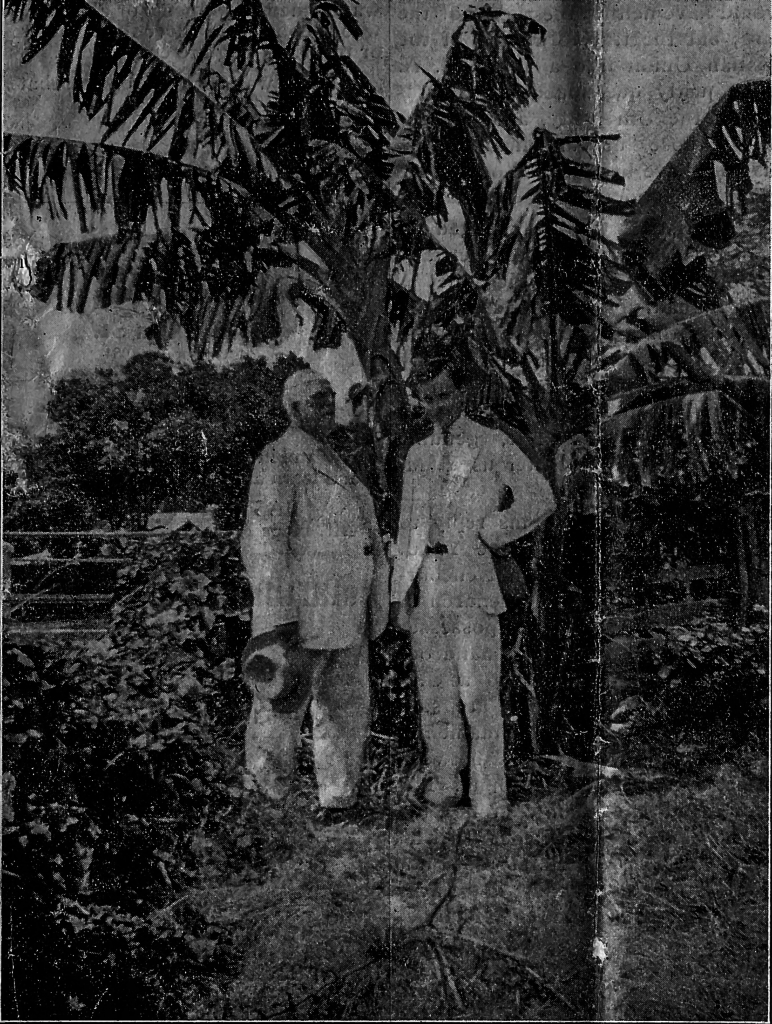 This week in the Campus Times: April 2