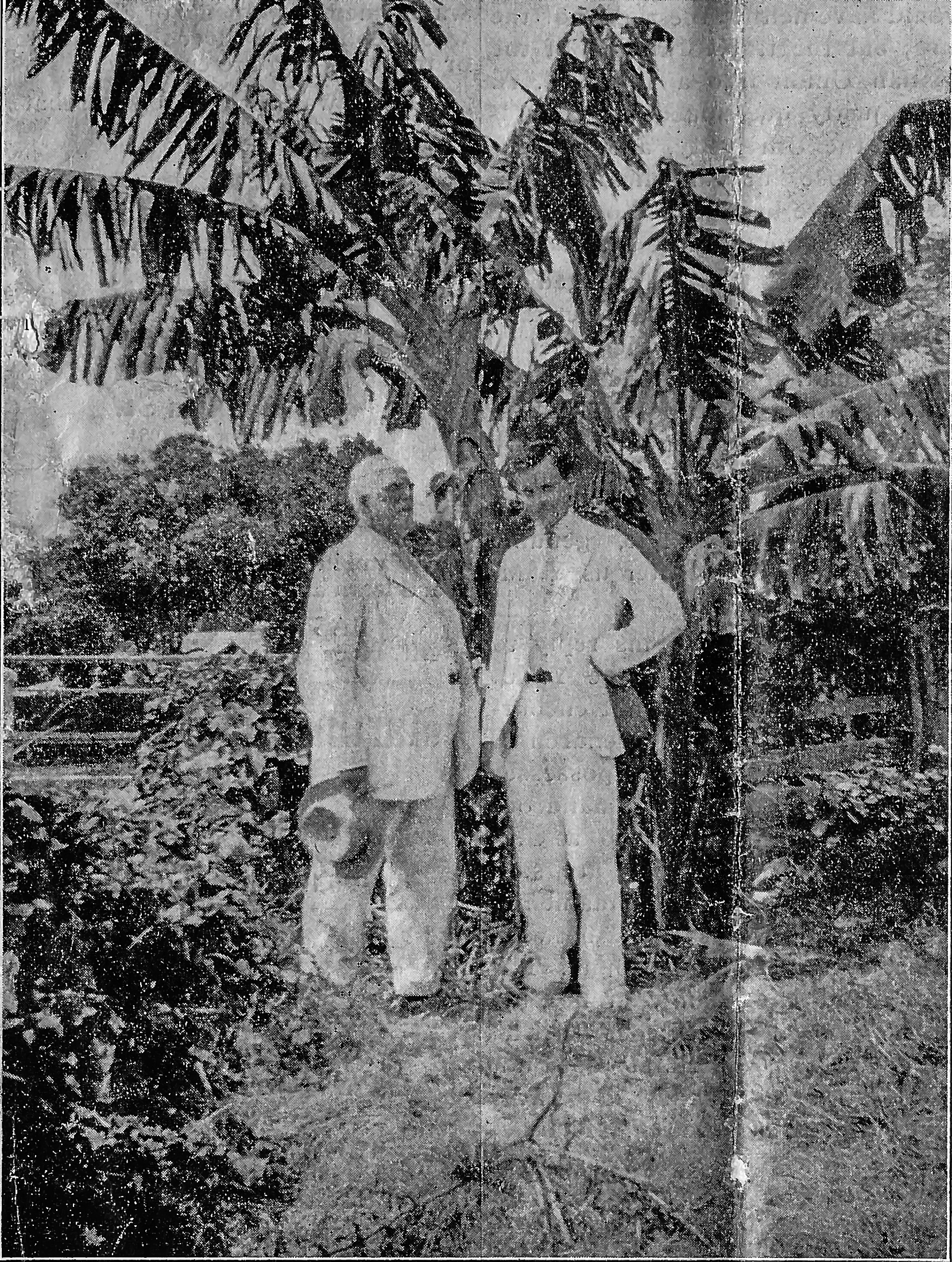 This week in the Campus Times: April 2