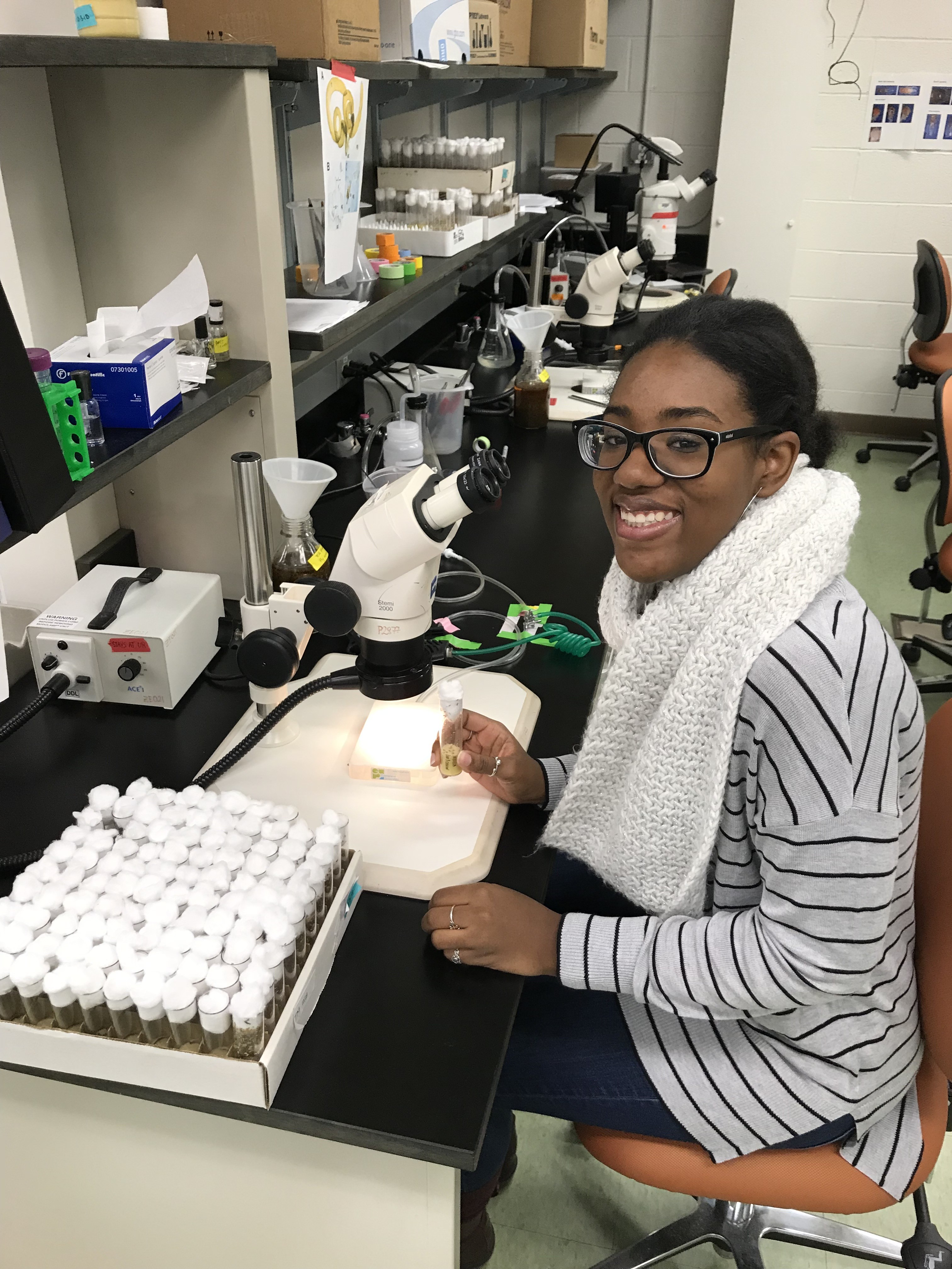 Research Rochester: Mouton champions diversity and resilience in academia