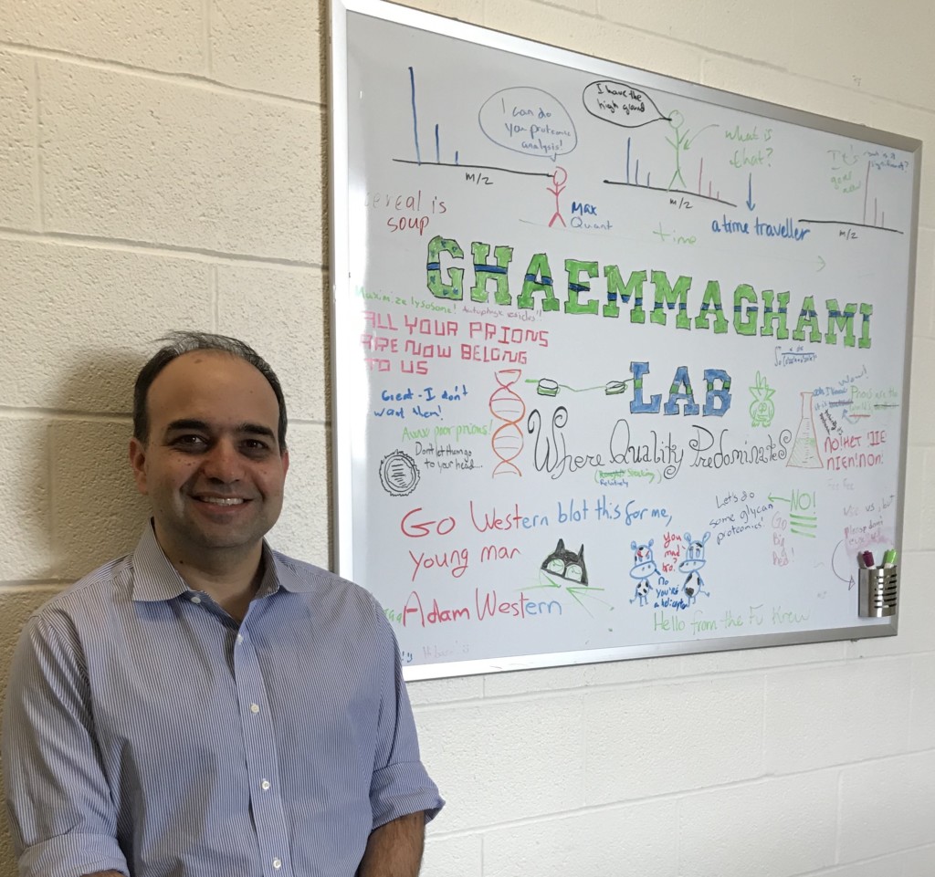 Research Rochester: For Professor Ghaemmaghami, Research is a Labor of Love
