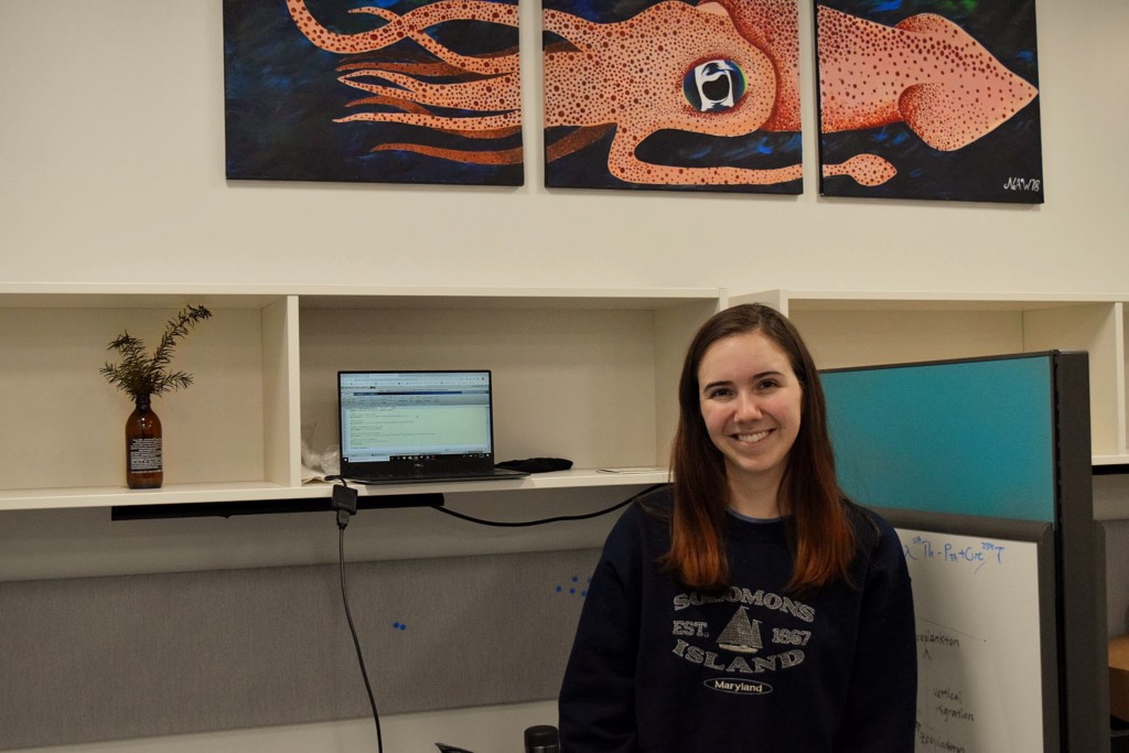 Research Rochester: Henderson models marine iron flux, a key climate change influencer