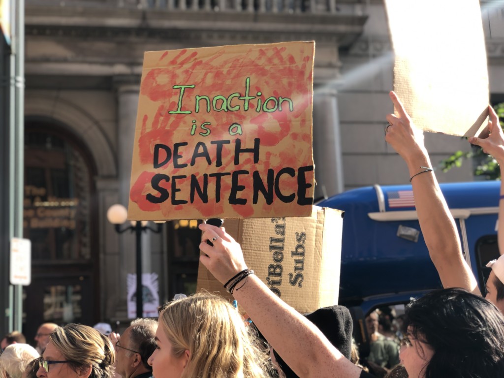 United across generations, Rochesterians march for the climate