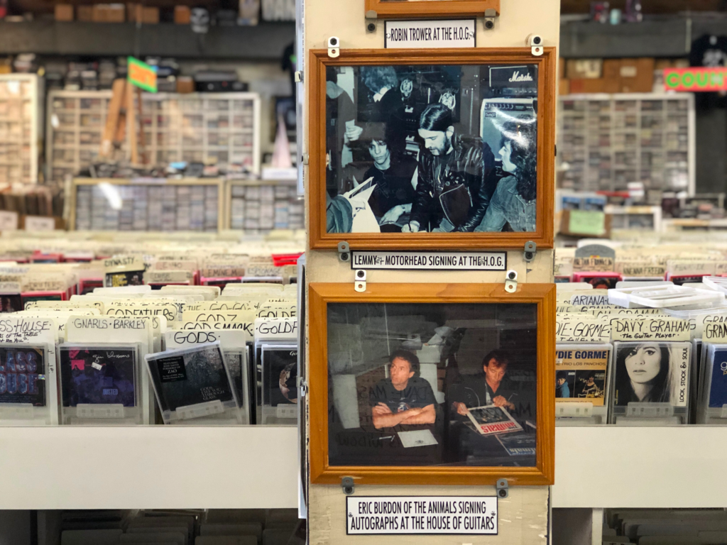 House of Guitars is a beautiful beast