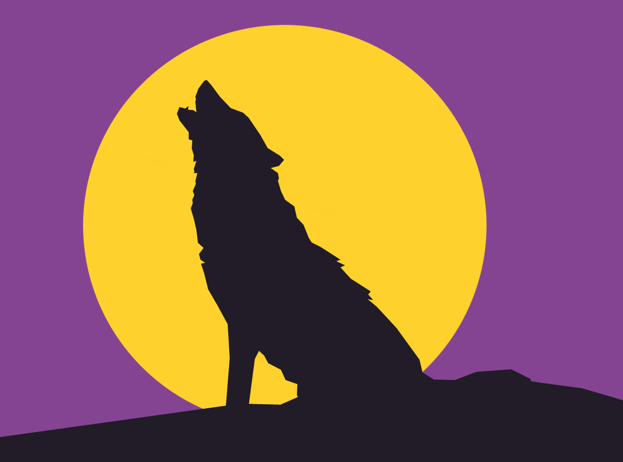 The wolf t-shirt you got from the cousin who likes magic tricks and theme parks