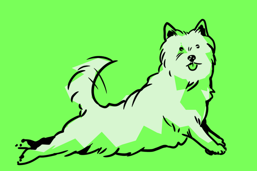 Zoom class derailed by UR student’s dog