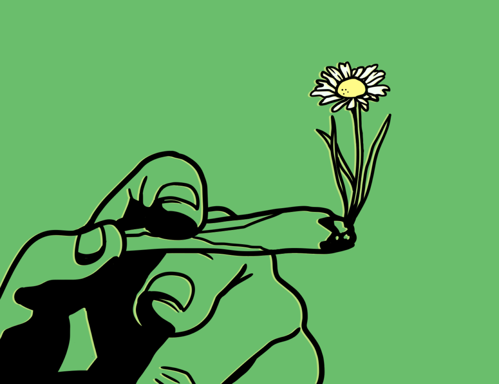 The merits of growing your own herbs