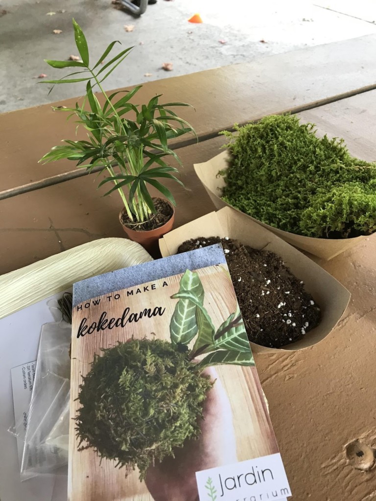 The art of kokedama