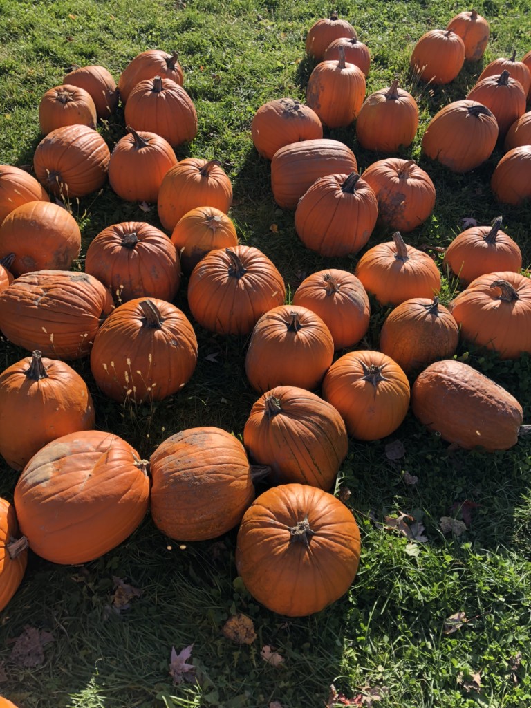 Liv on the Edge: Scary movies for people that hate being scared but want to get in the Halloween spirit