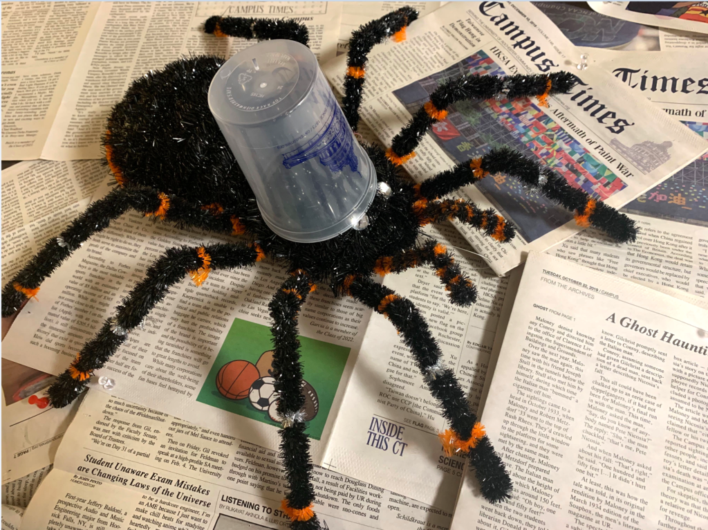 Southside spiders seriously spook Stella