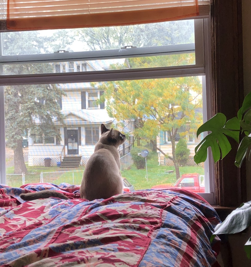 Liv on the Edge: Creativity in the time of corona