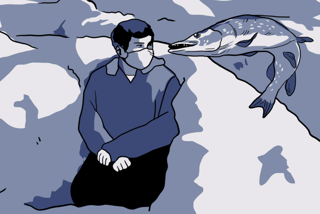 Lake Ontario: shockingly bereft of crabs