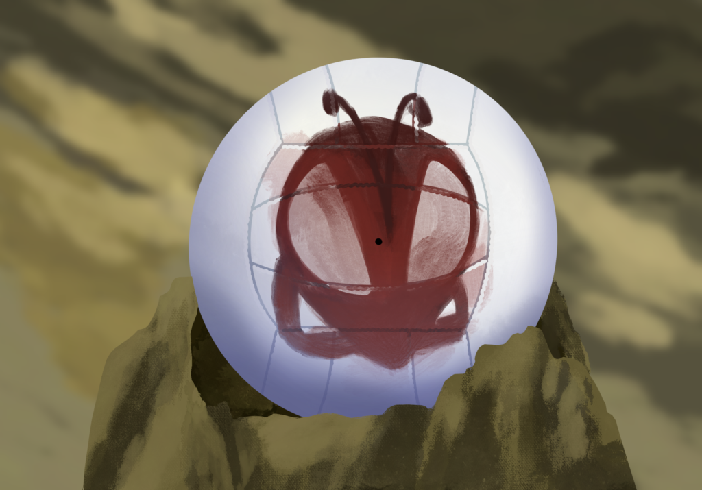 The diary of a student forgotten in Whipple Park