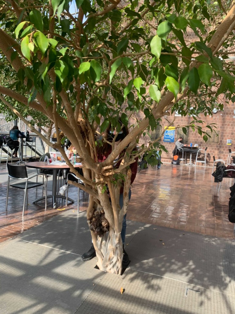 After giving the community what it desperately needed, Lil Nosey risks cancellation