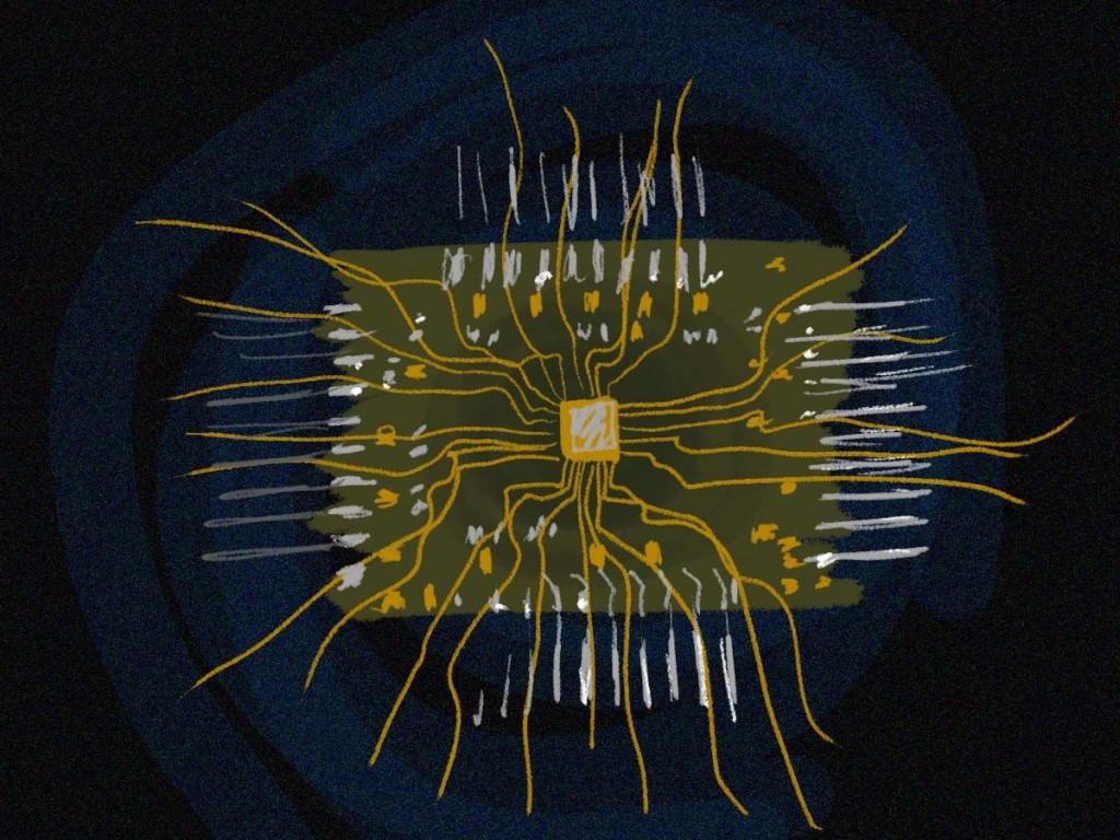 Day in the Life: An Electrical and Computer Engineering Major