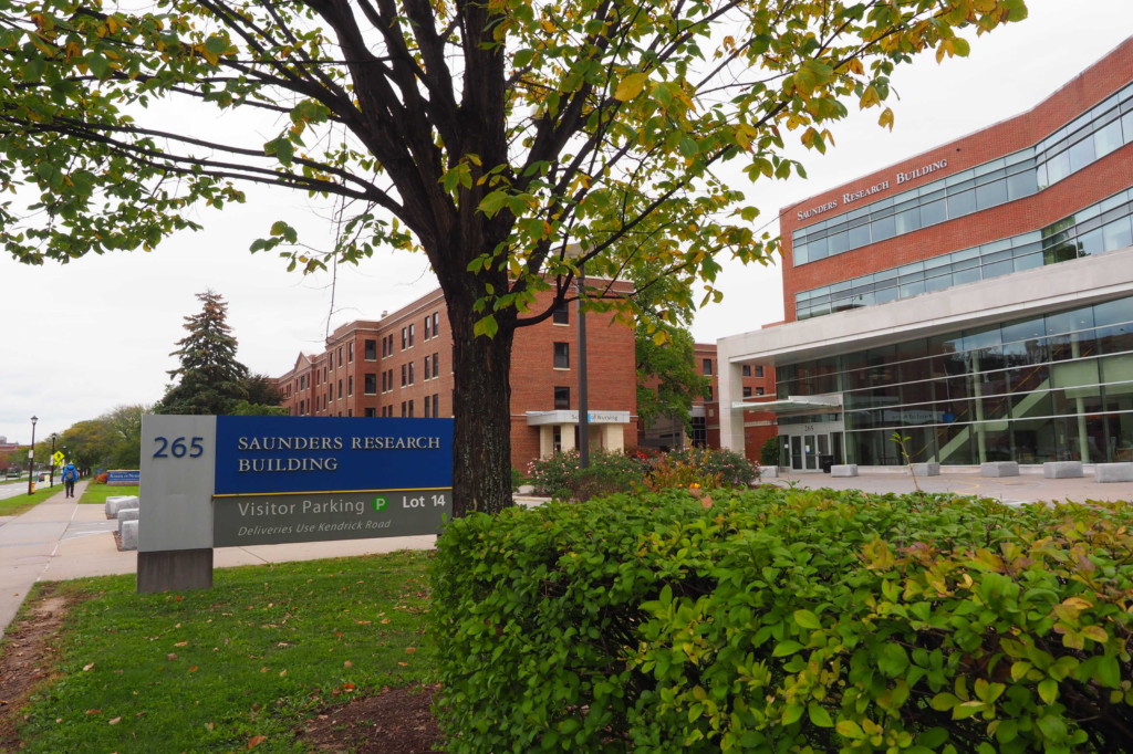 Power to the polls: UR set to become an official polling place