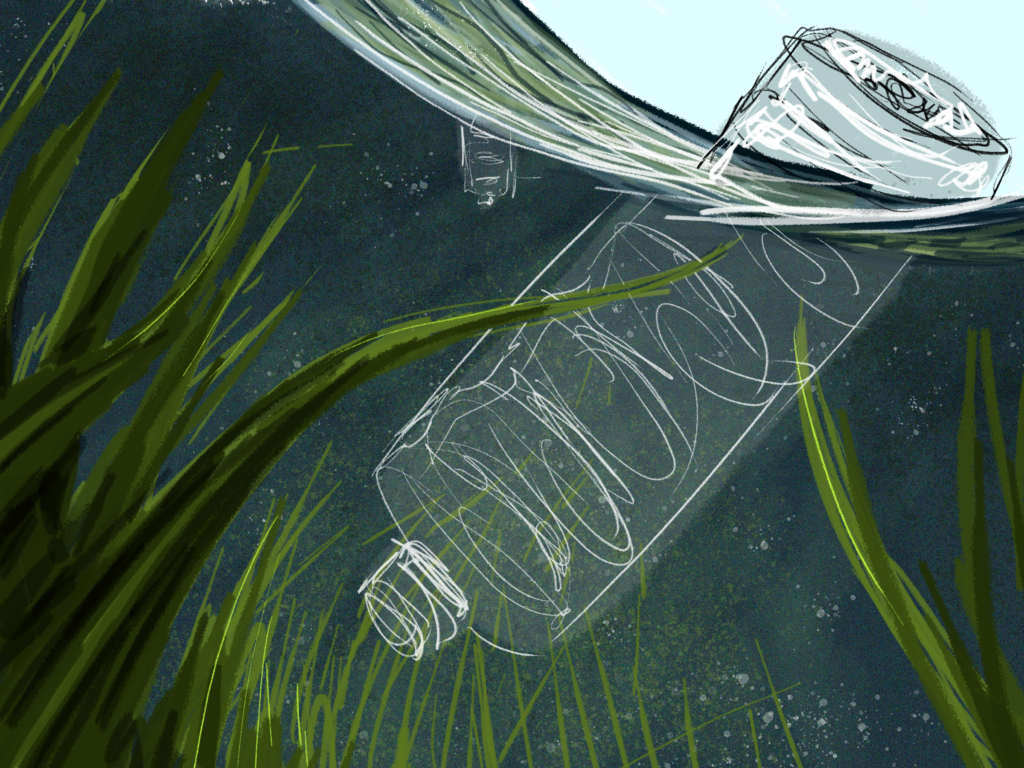 Rochester water party: The full story