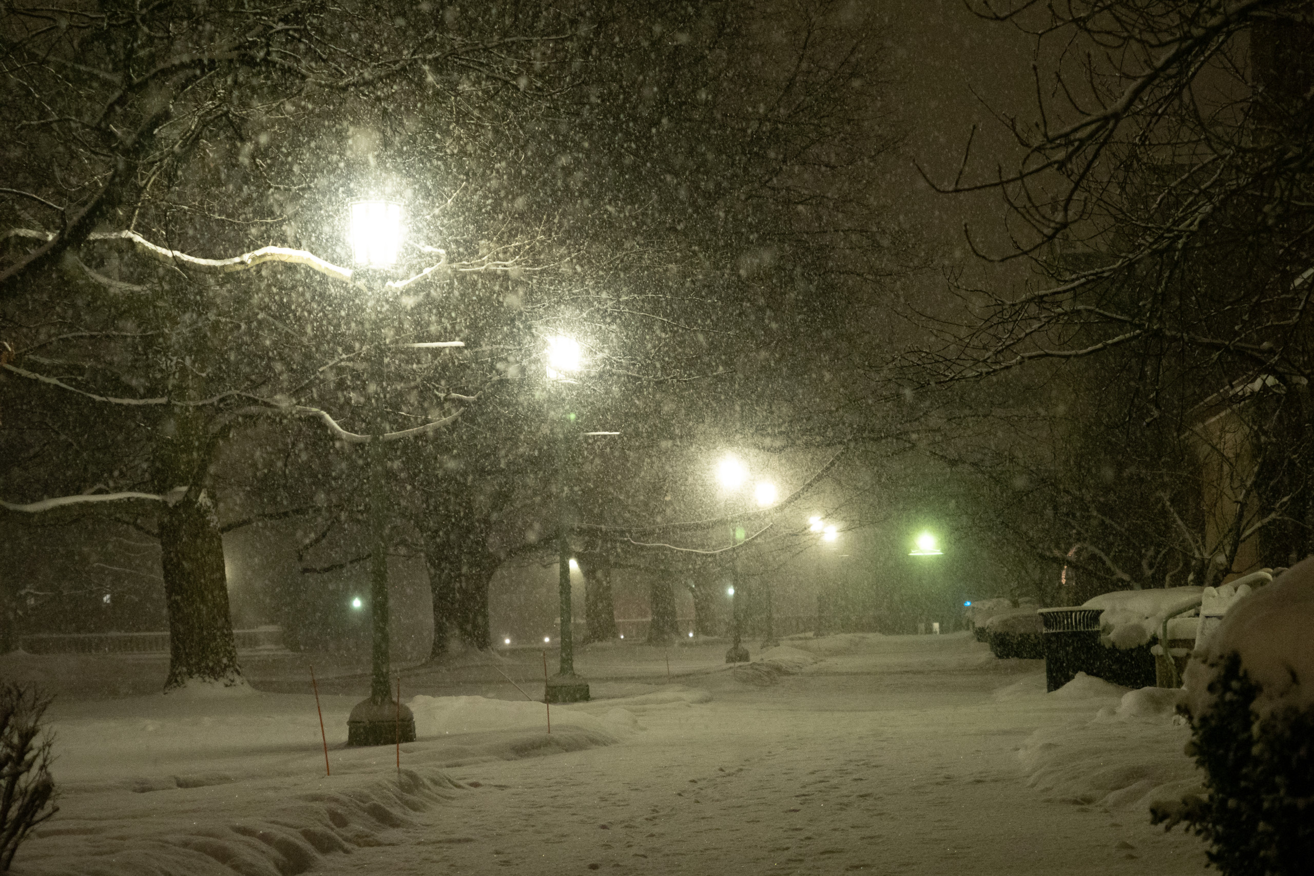 Snowstorm’s possible link to climate change, impact on vulnerable residents