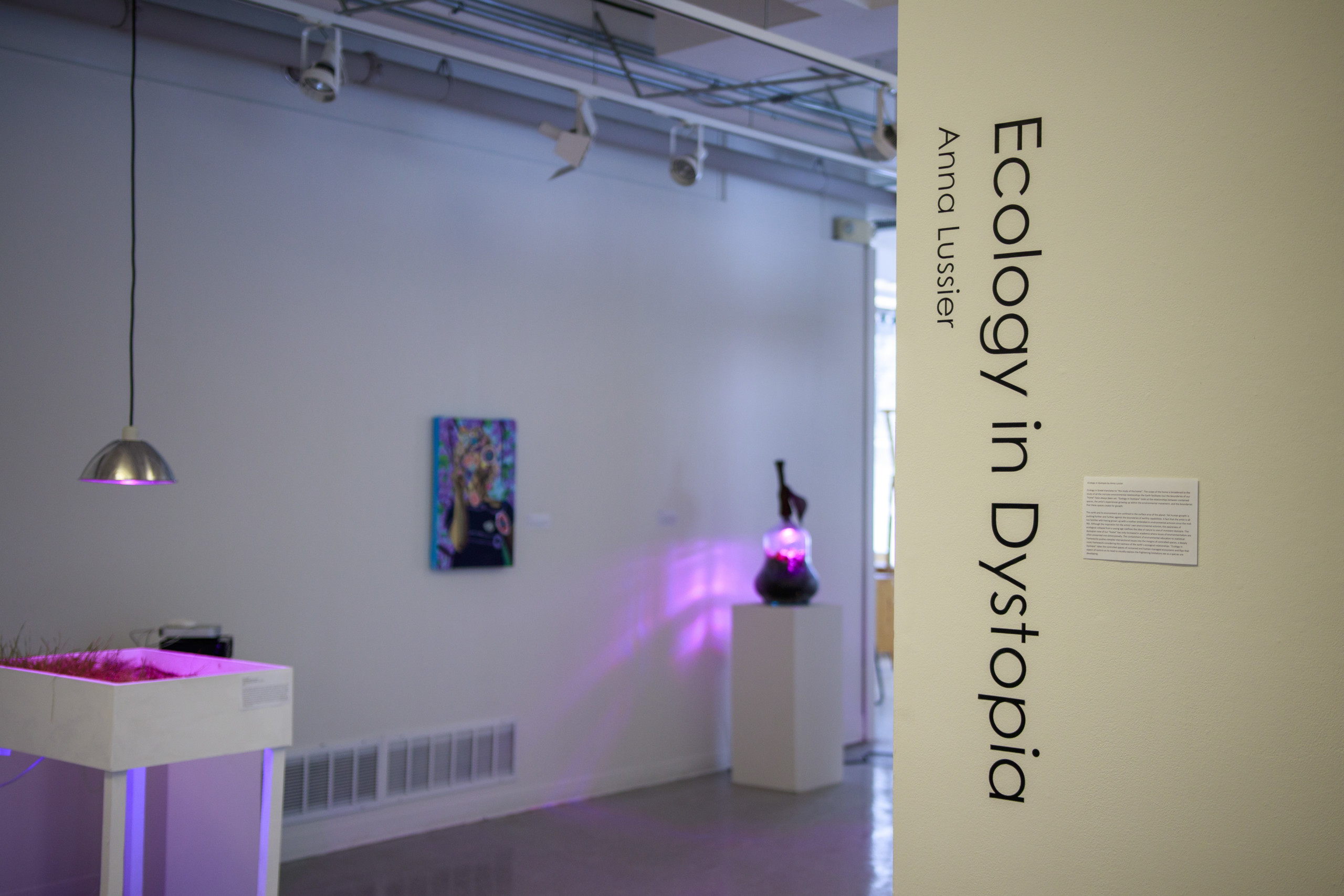 Art in the Anthropocene: A look at Anna Lussier’s ‘Ecology in Dystopia’