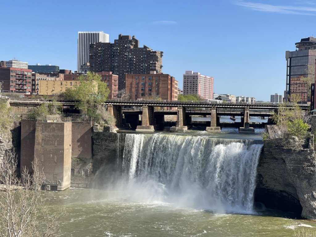 Rochester summer news round-up