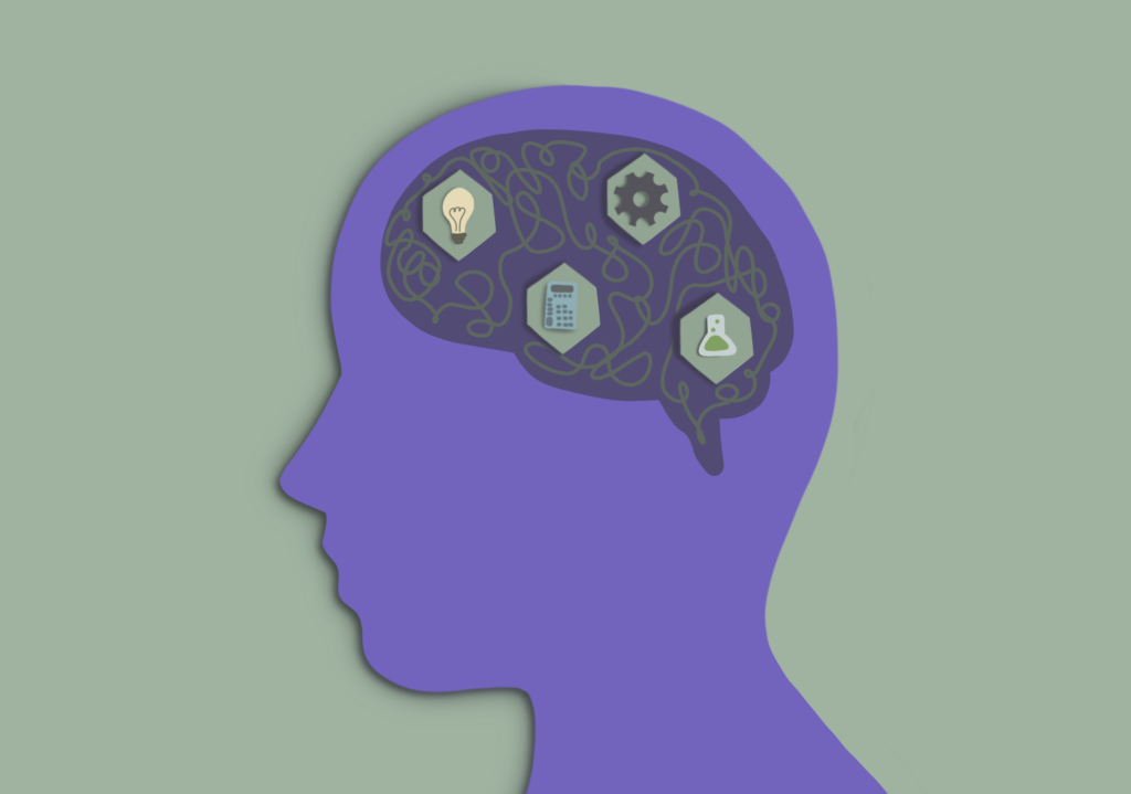 Why you shouldn&#8217;t roast STEM majors (although you know you want to)