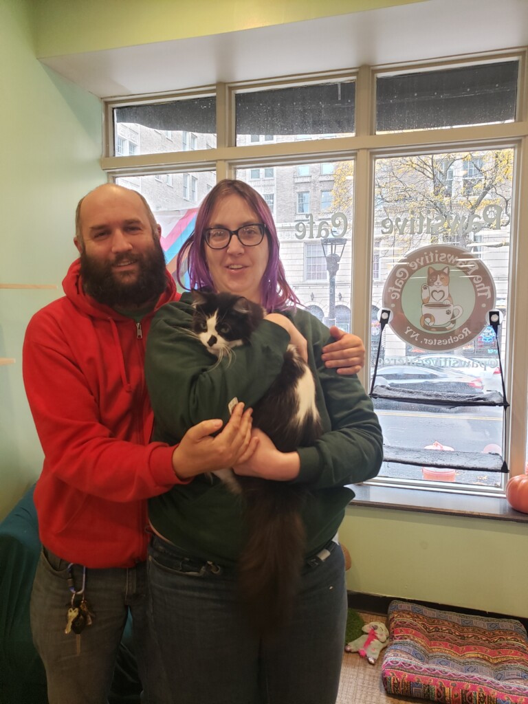 The Pawsitive Cafe, downtown Rochester’s first cat cafe