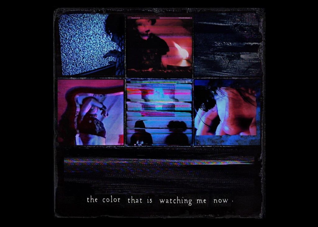 A glimpse into the minds of FREE.99