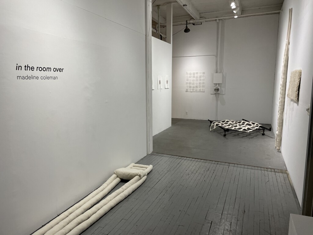 Insights into the room over with Madeline Coleman