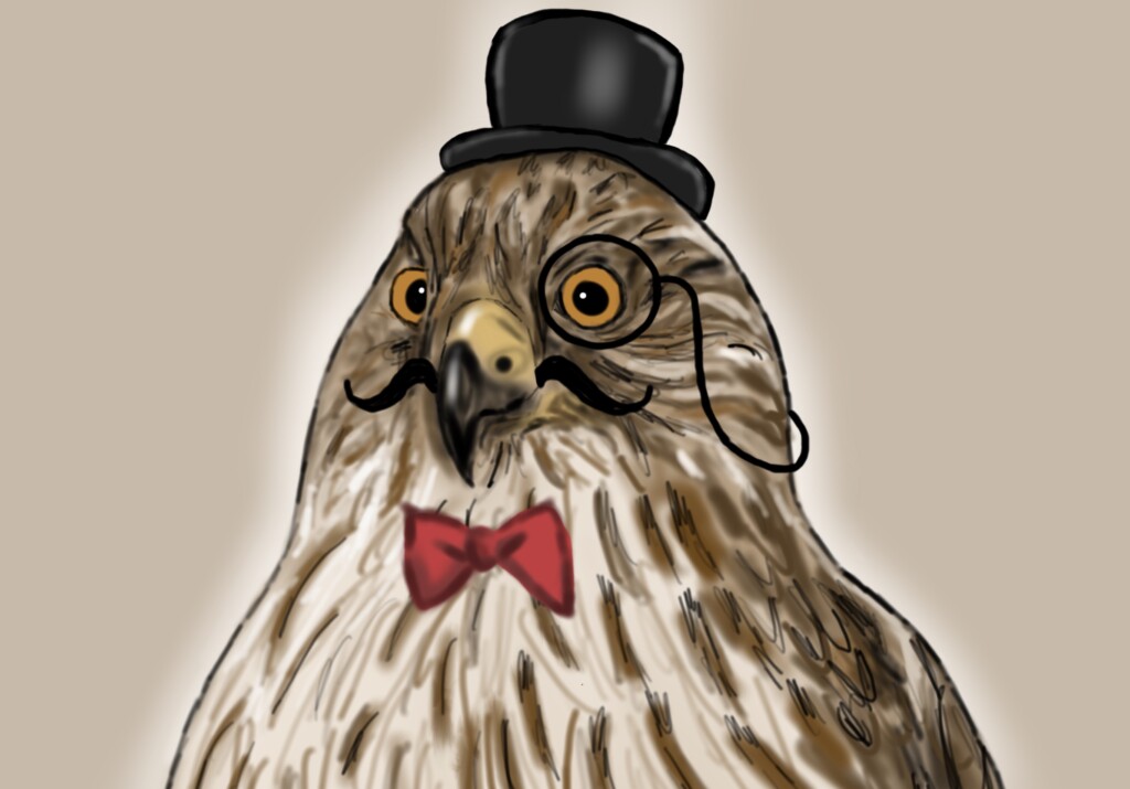 Birding club takes flight