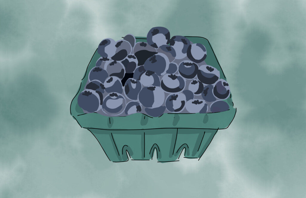 Blueberries, otherwise known as canned peaches.