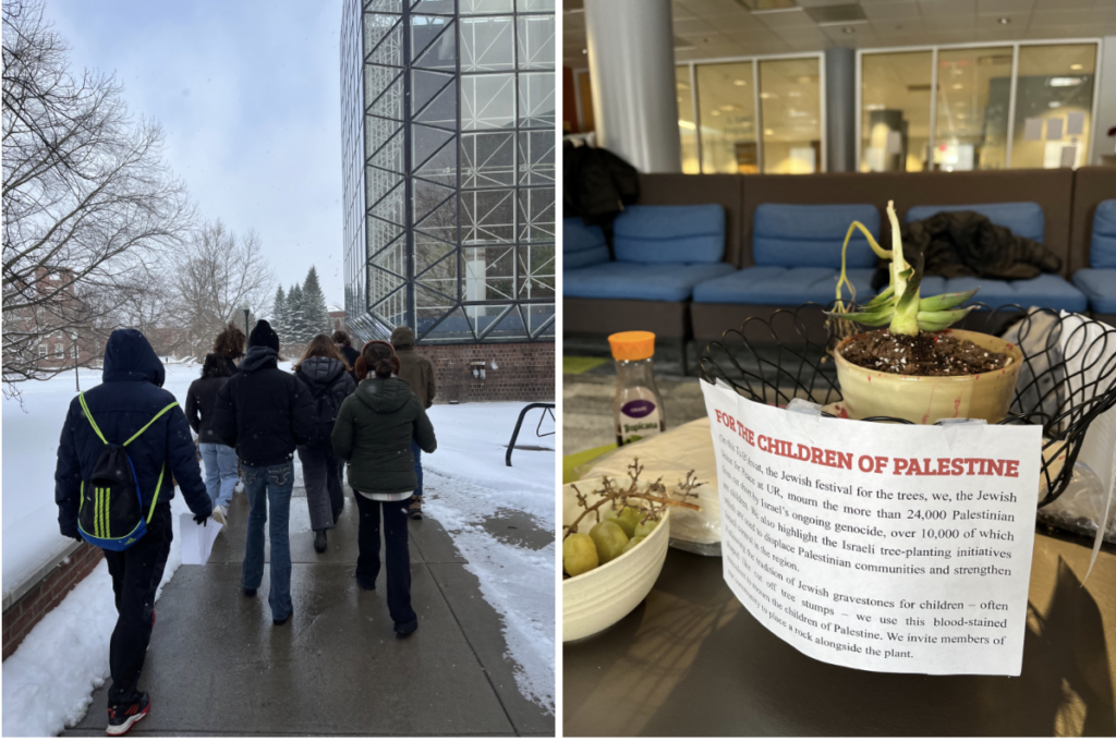 Jewish Voice for Peace observes Tu B’Schvat in solidarity with Palestinians