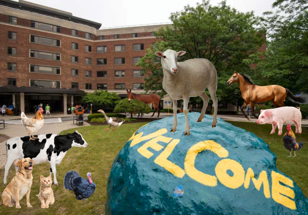 Freshman Class To Include Farm Animals