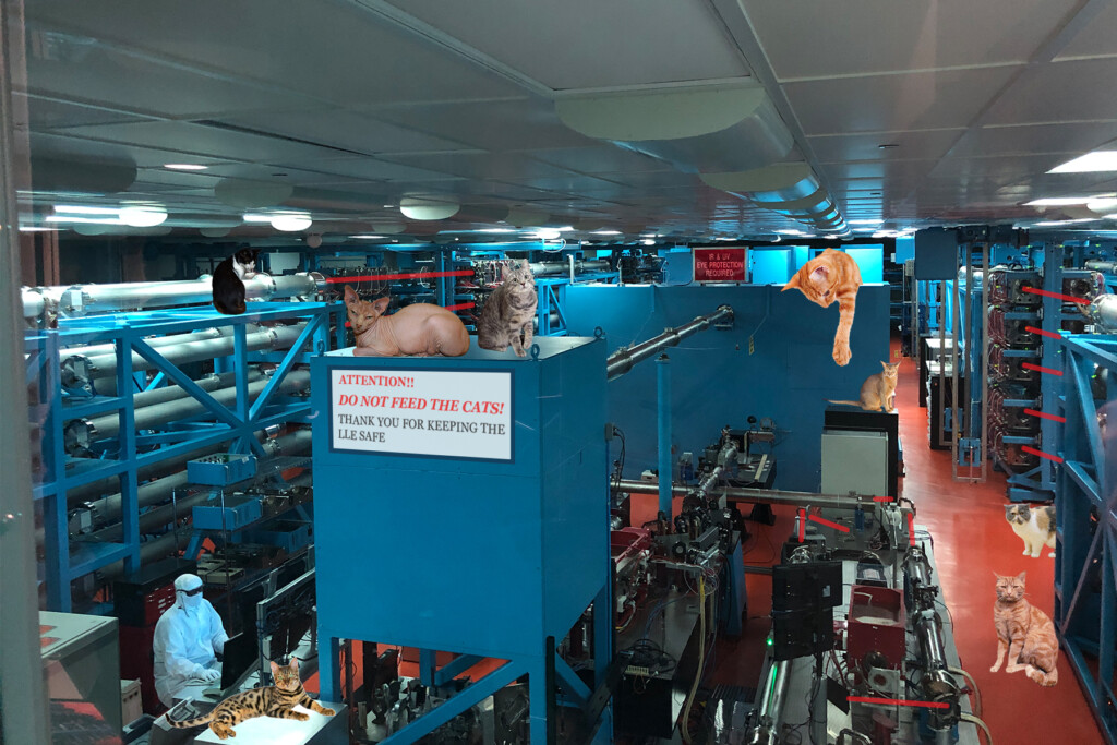 Laser Lab announces new partnership with local humane society