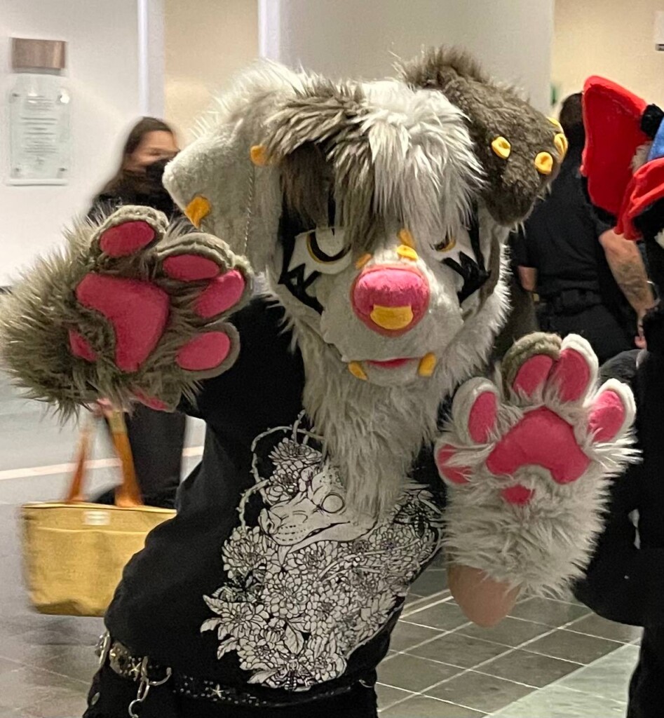 Furries on UR campus?
