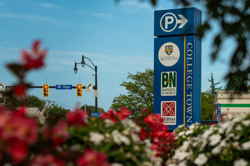 Rocky Bucks explained