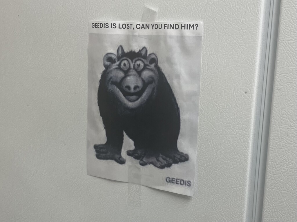 GEEDISQUEST: A wholesome IRL Geedis side quest