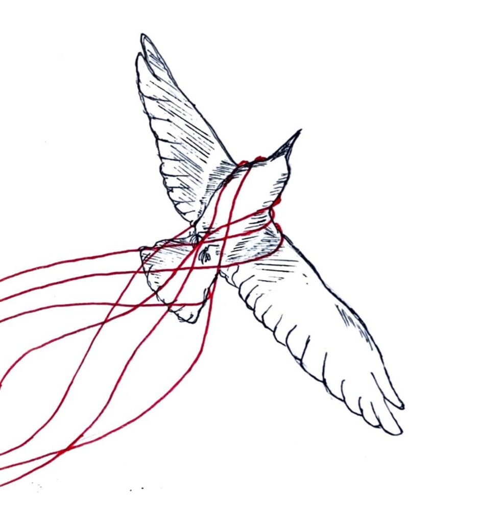 Revisiting a masterpiece: The aching nostalgia of ‘Transatlanticism’