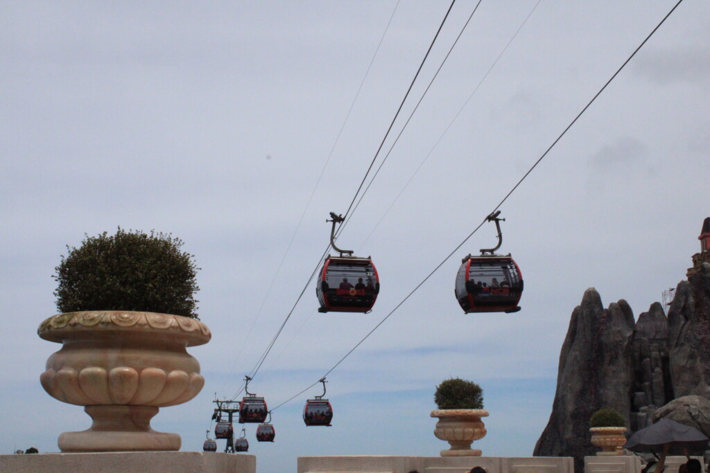 See my summer? Very interesting, very busy