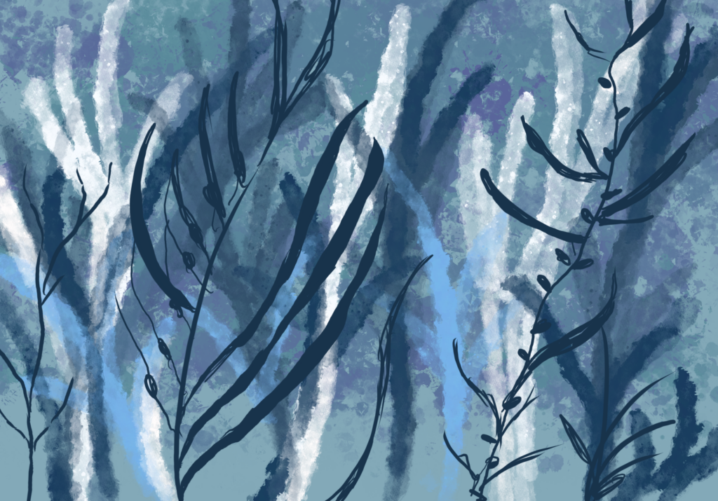 A journey to Camelot