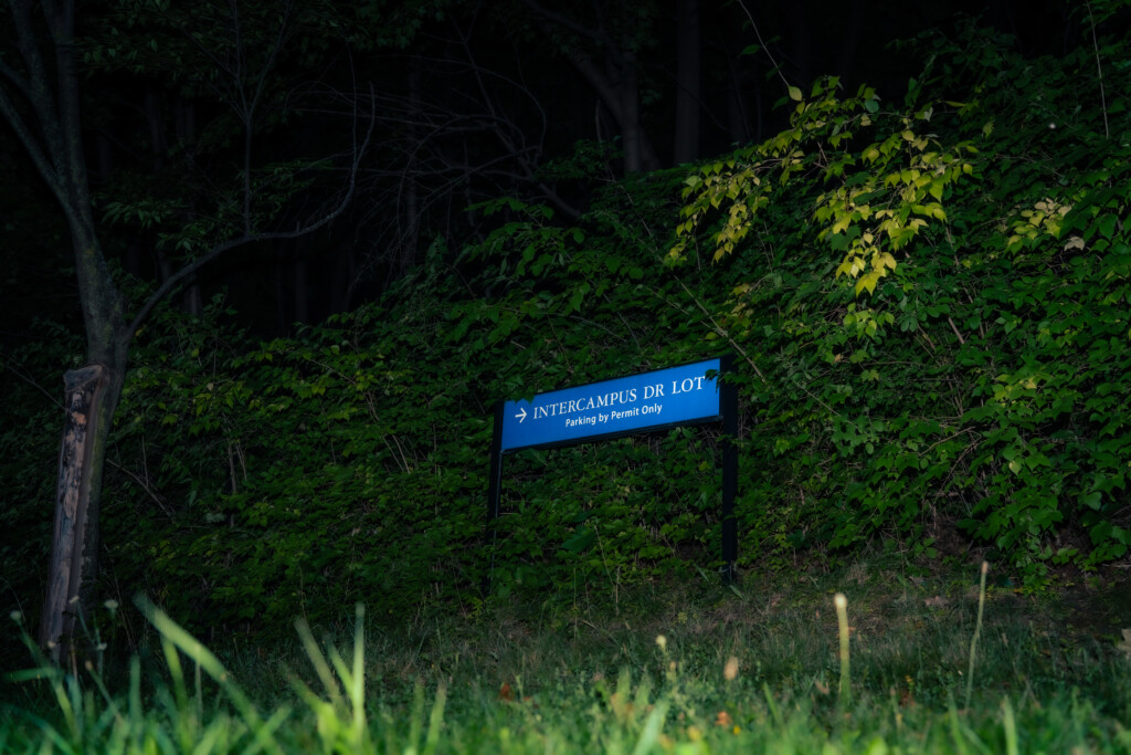 Uptick in mosquito-borne viruses: should we be worried?