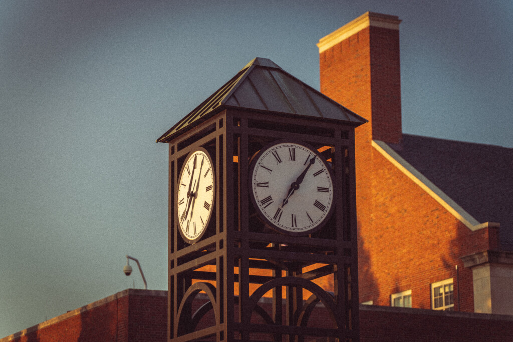 “Thelma” is a hoot and a holler for the ages