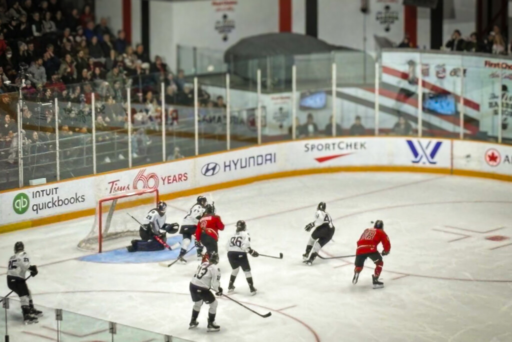 PWHL helped me “get” sports