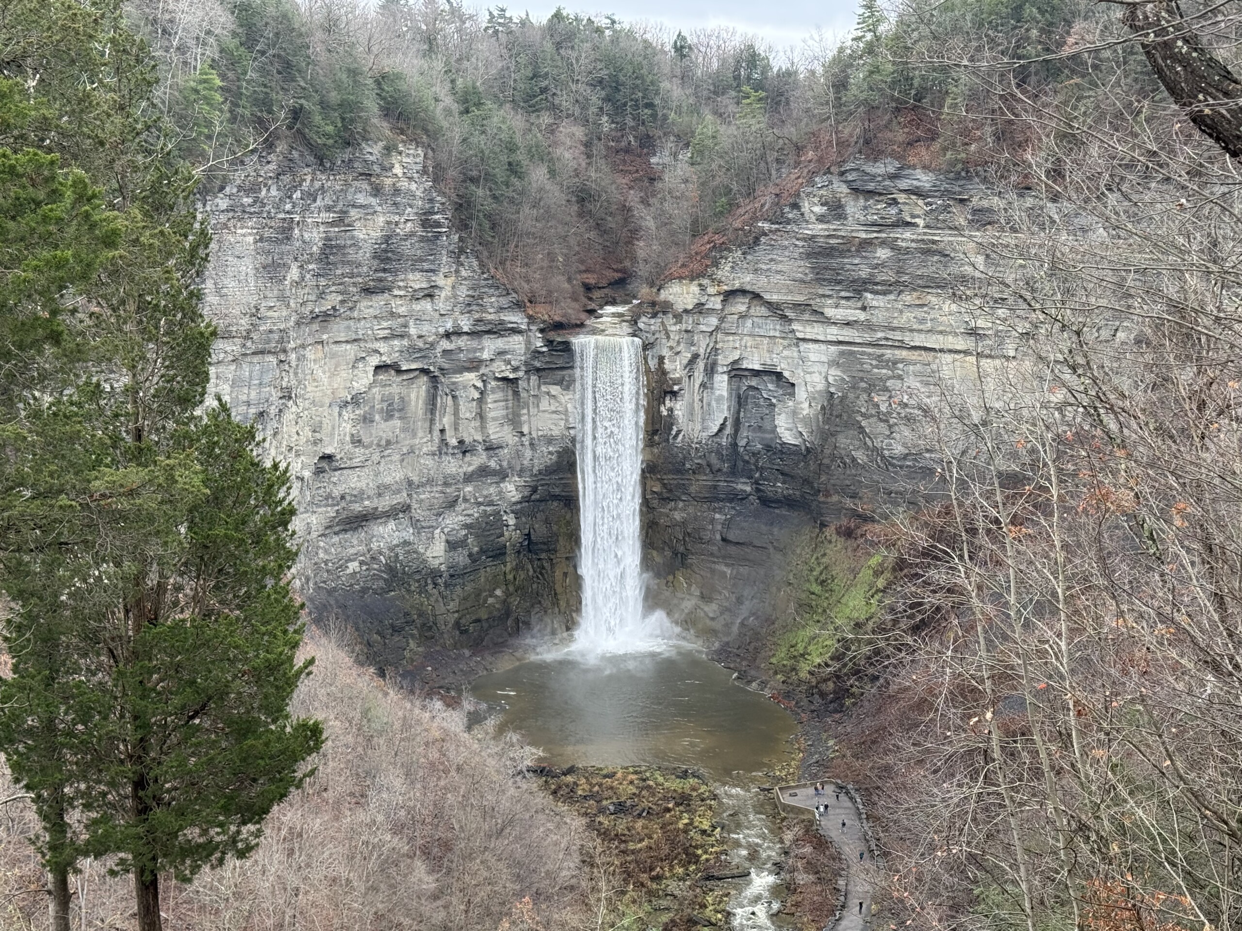 Teddy’s Travels: Ithaca, NY