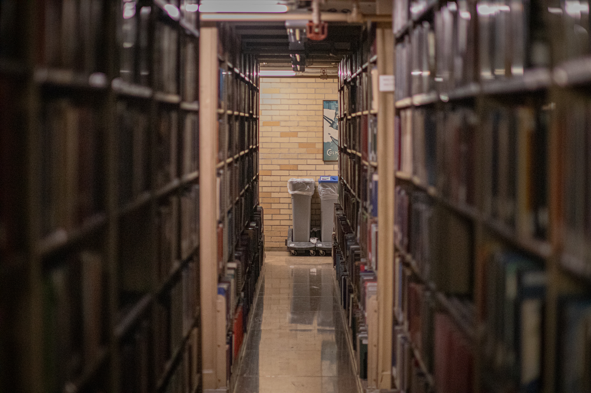 UR Libraries show ways to find books for free